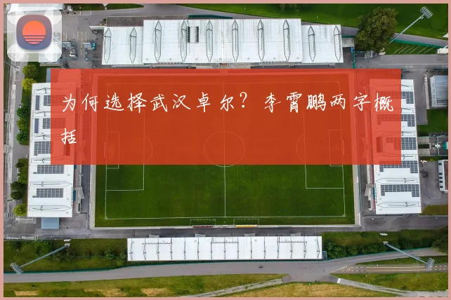 为何选择武汉卓尔？李霄鹏两字概括