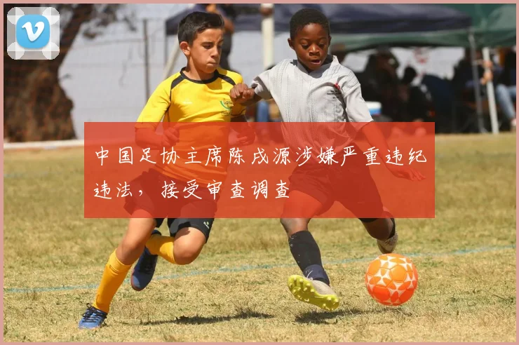 中国足协主席陈戌源涉嫌严重违纪违法，接受审查调查