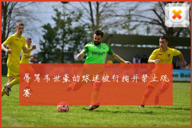 辱骂韦世豪的球迷被行拘并禁止观赛