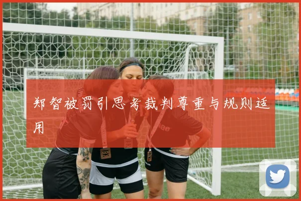 郑智被罚引思考裁判尊重与规则适用