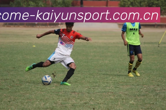 开云体育平台生态图